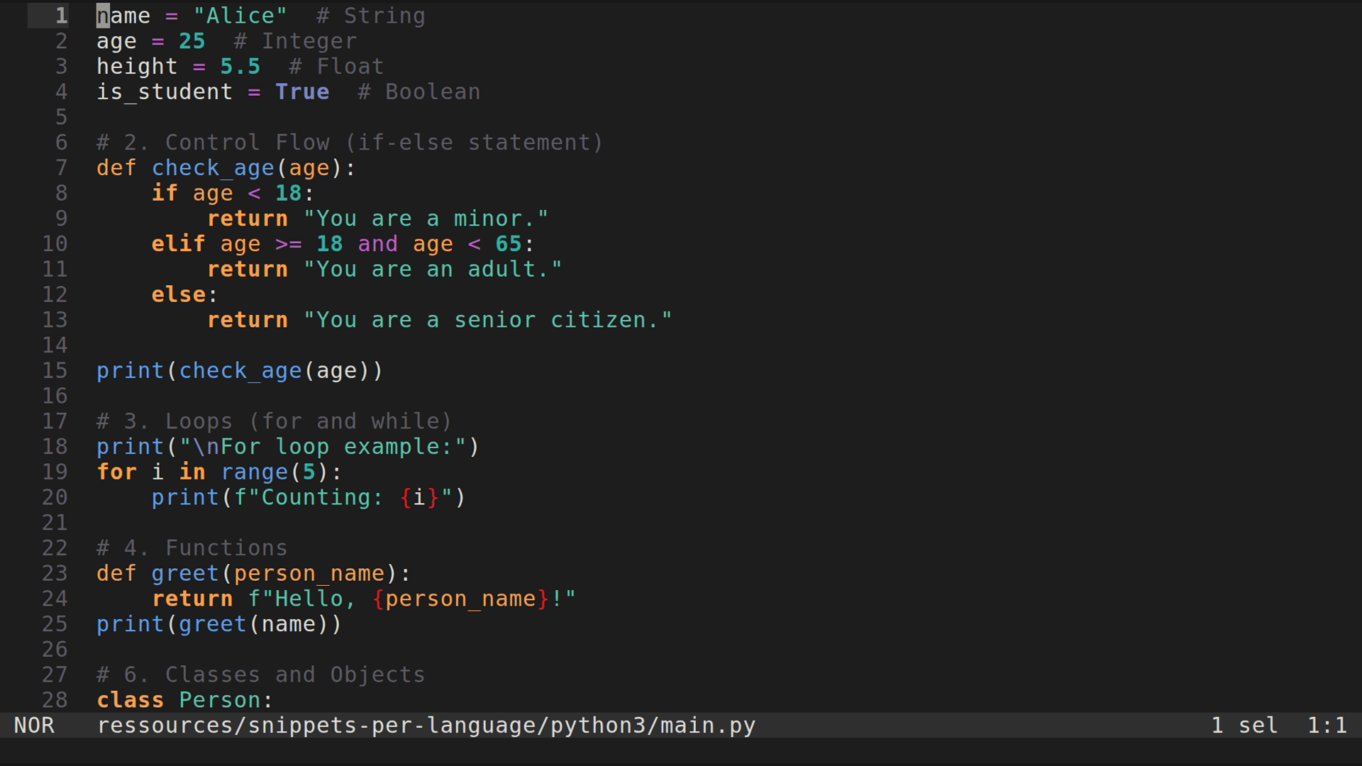main.py 