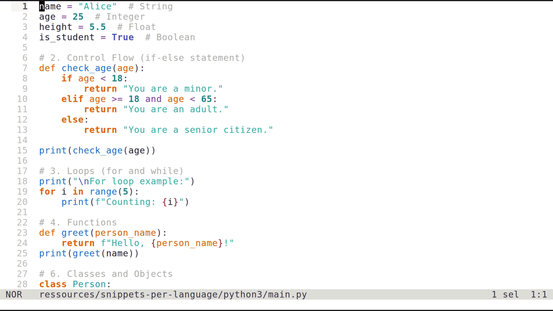 main.py 