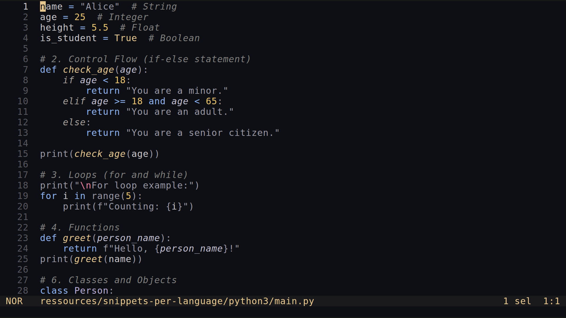 main.py 