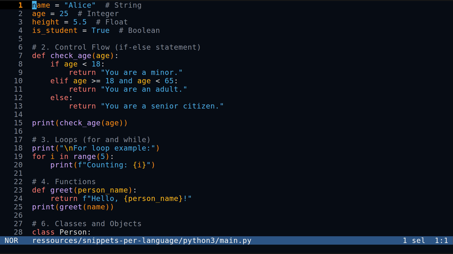main.py 