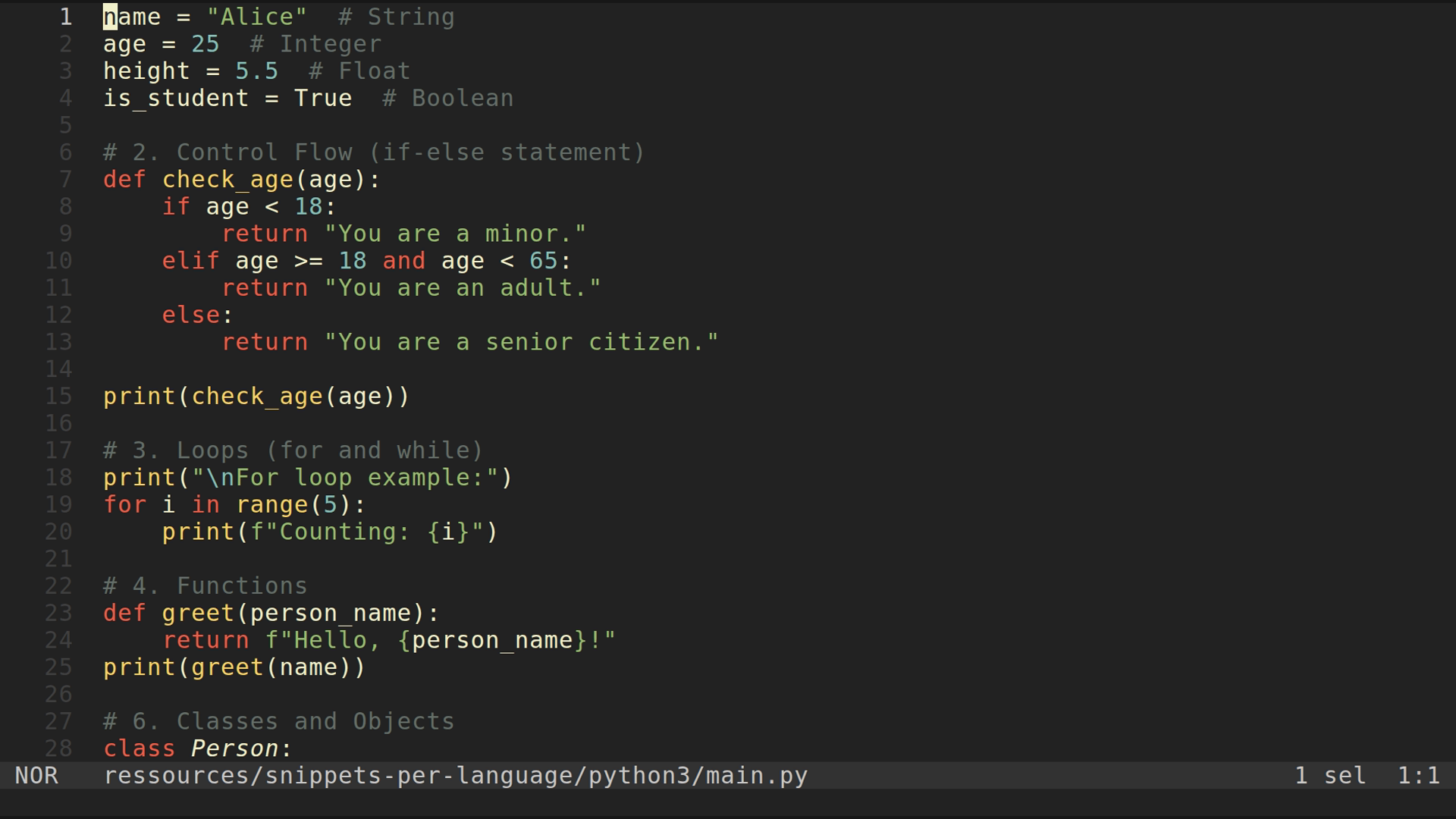 main.py 