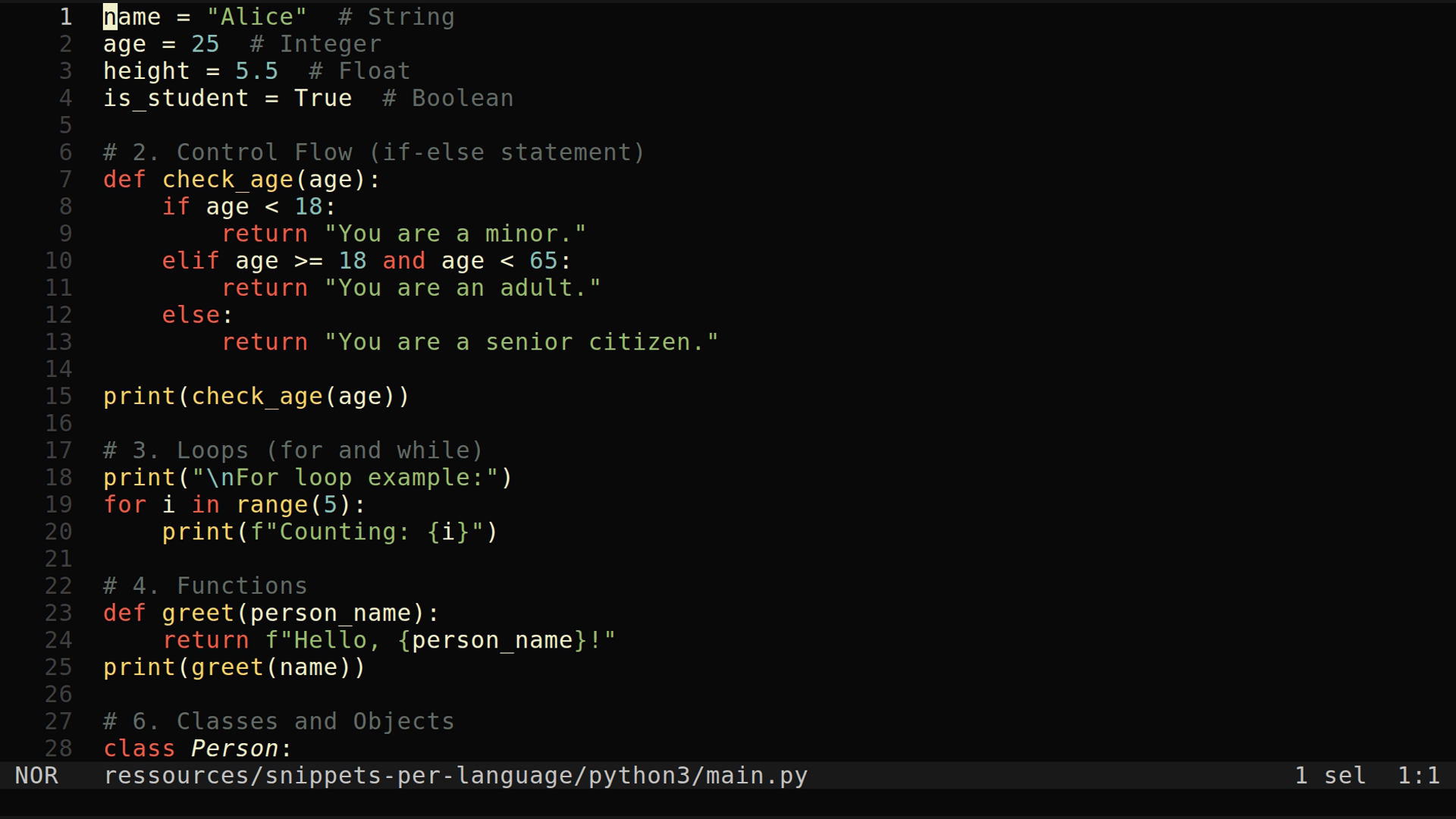 main.py 