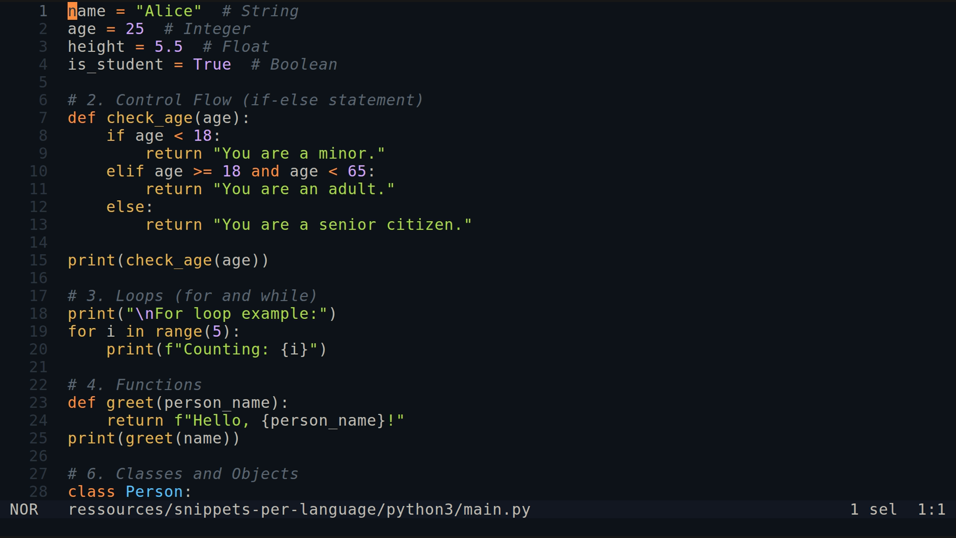 main.py 
