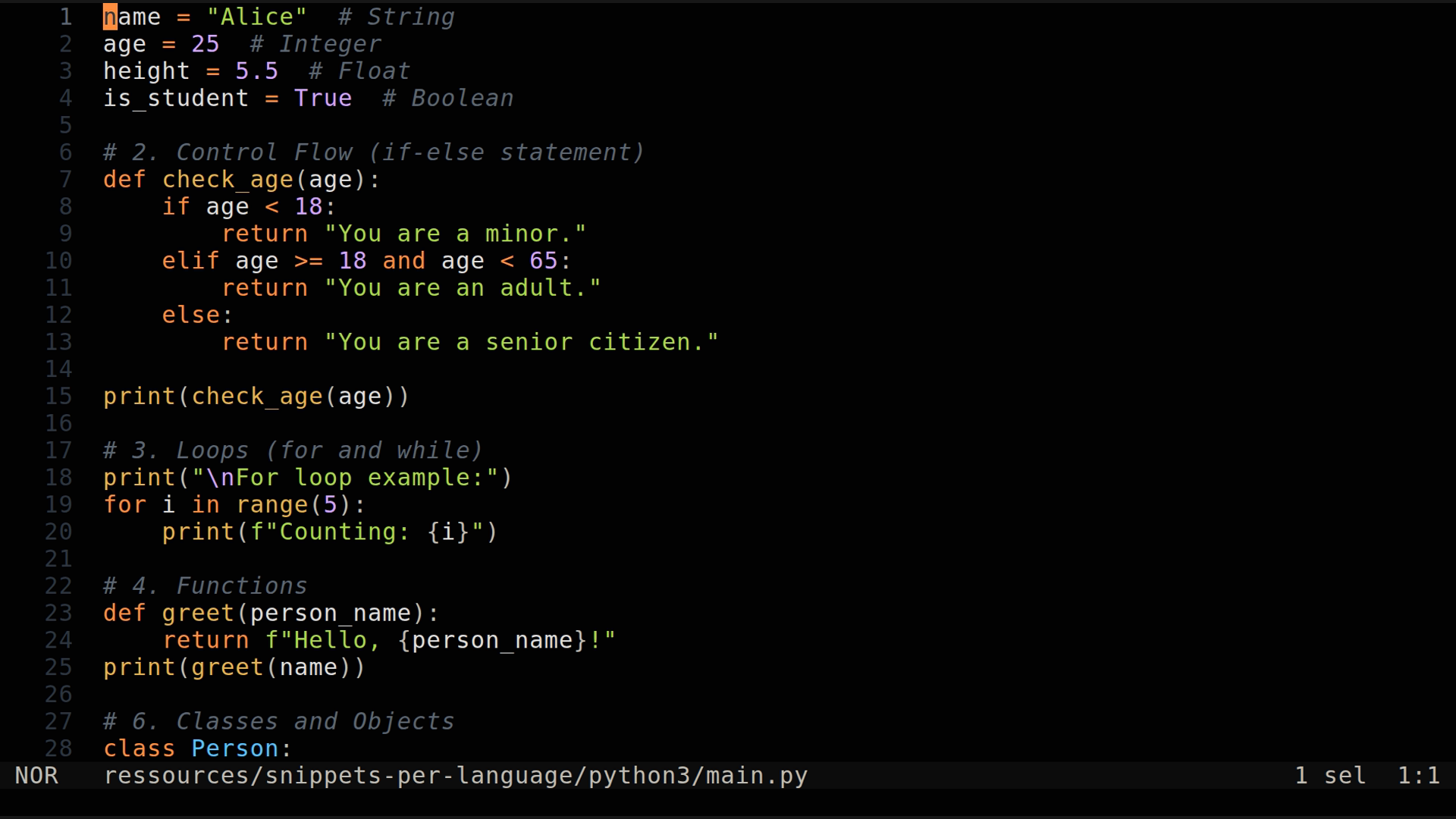 main.py 