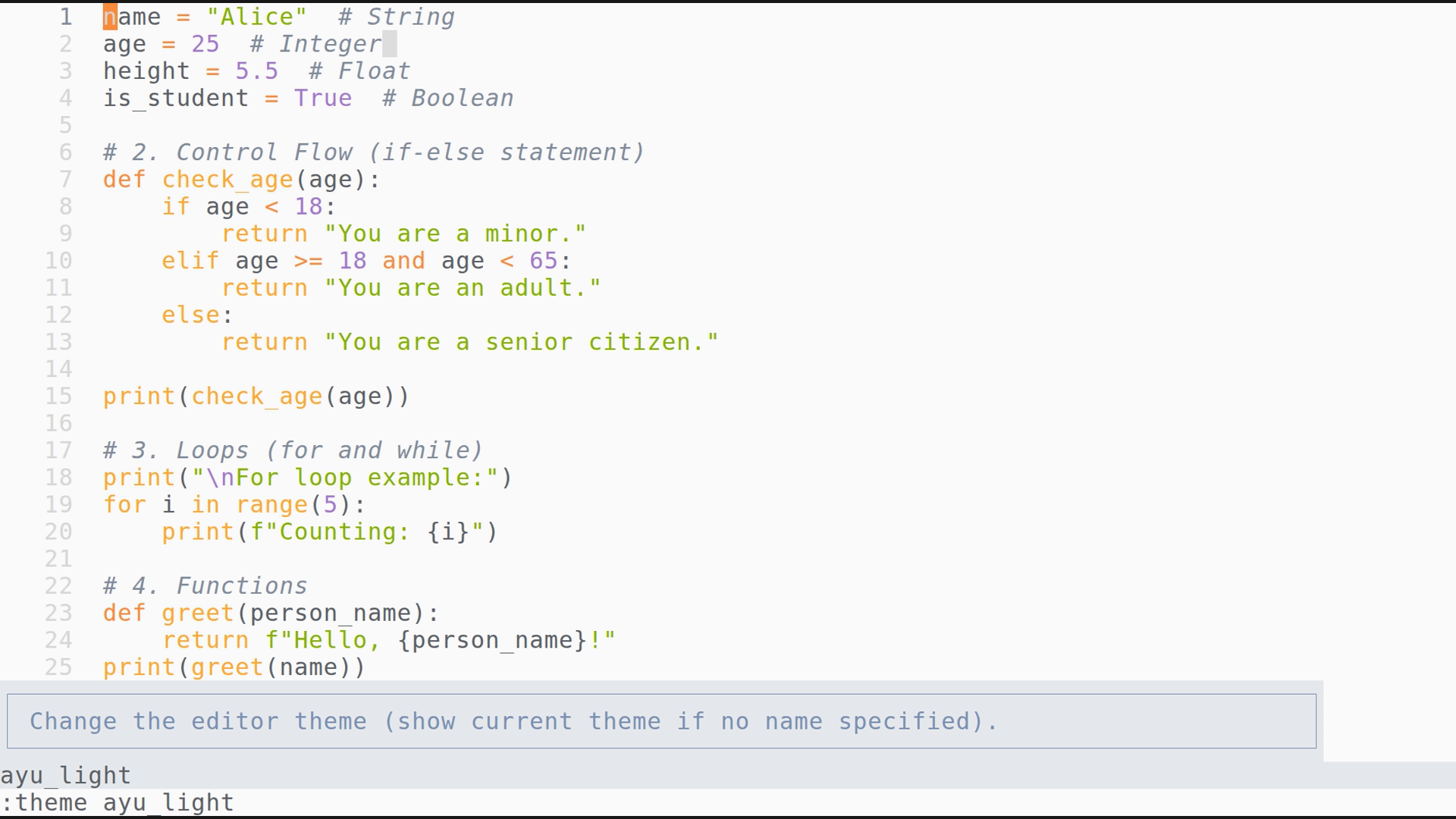 main.py 