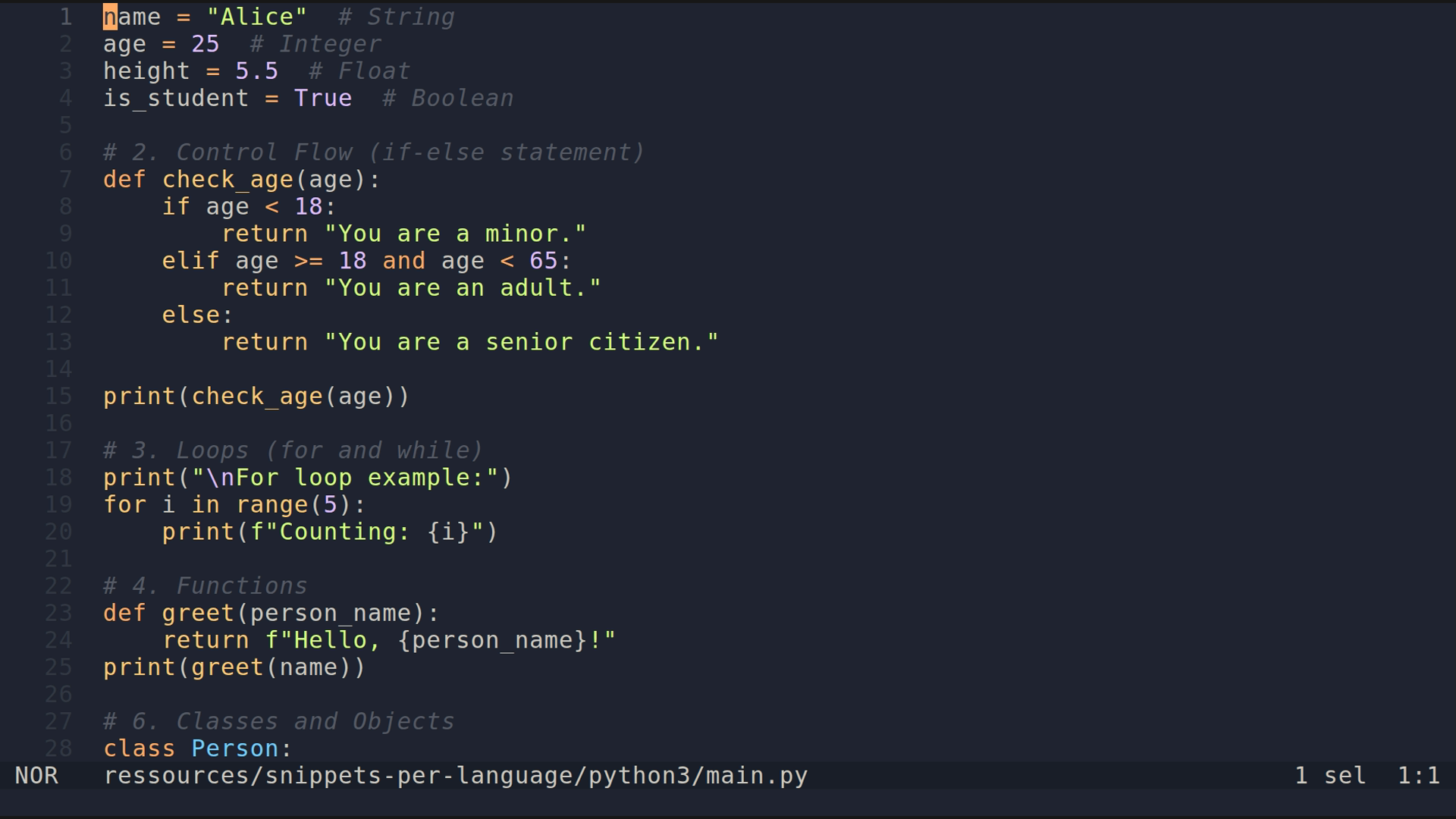 main.py 