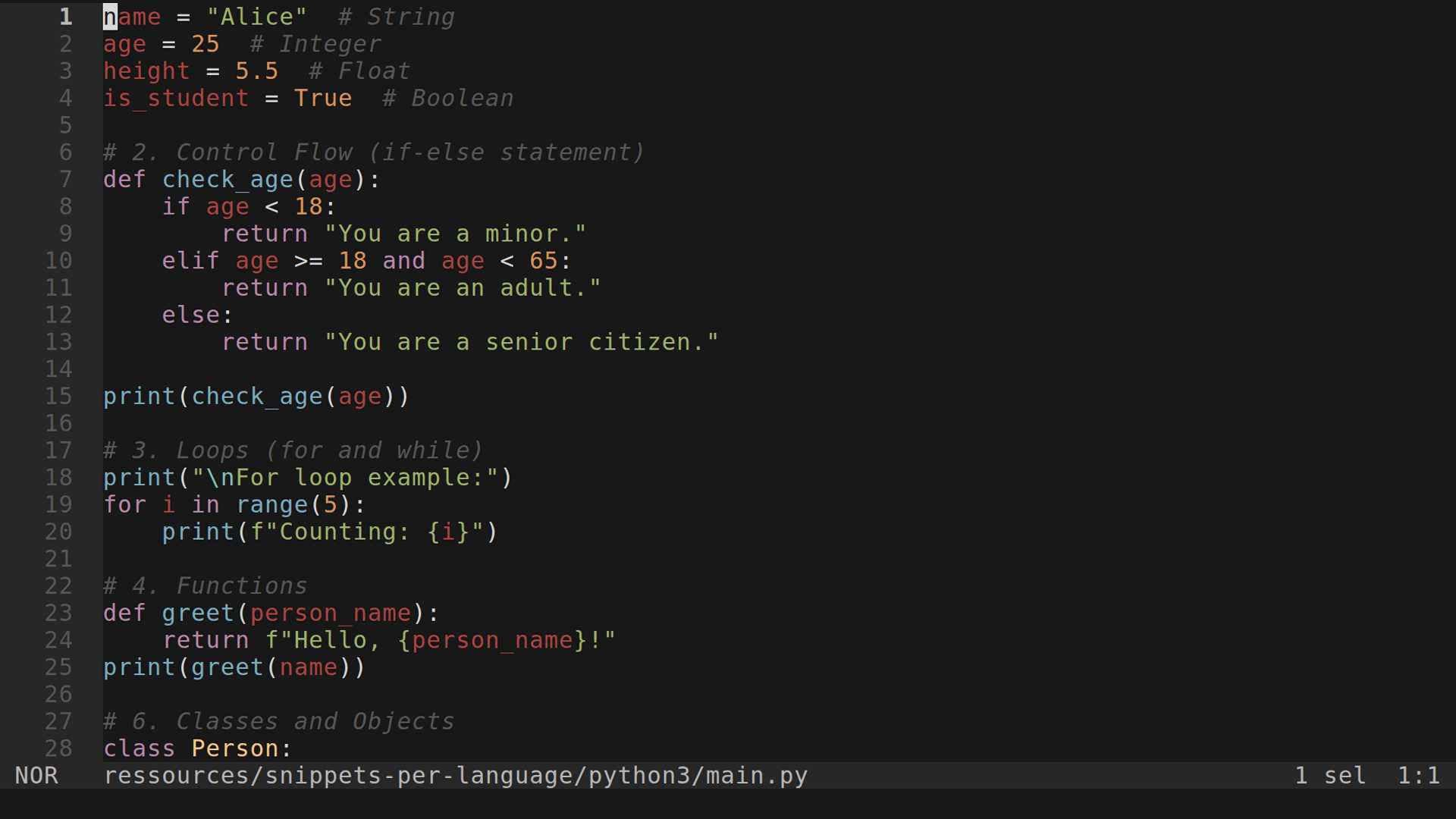 main.py 