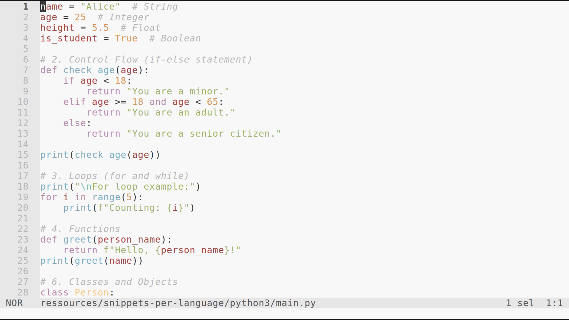 main.py 