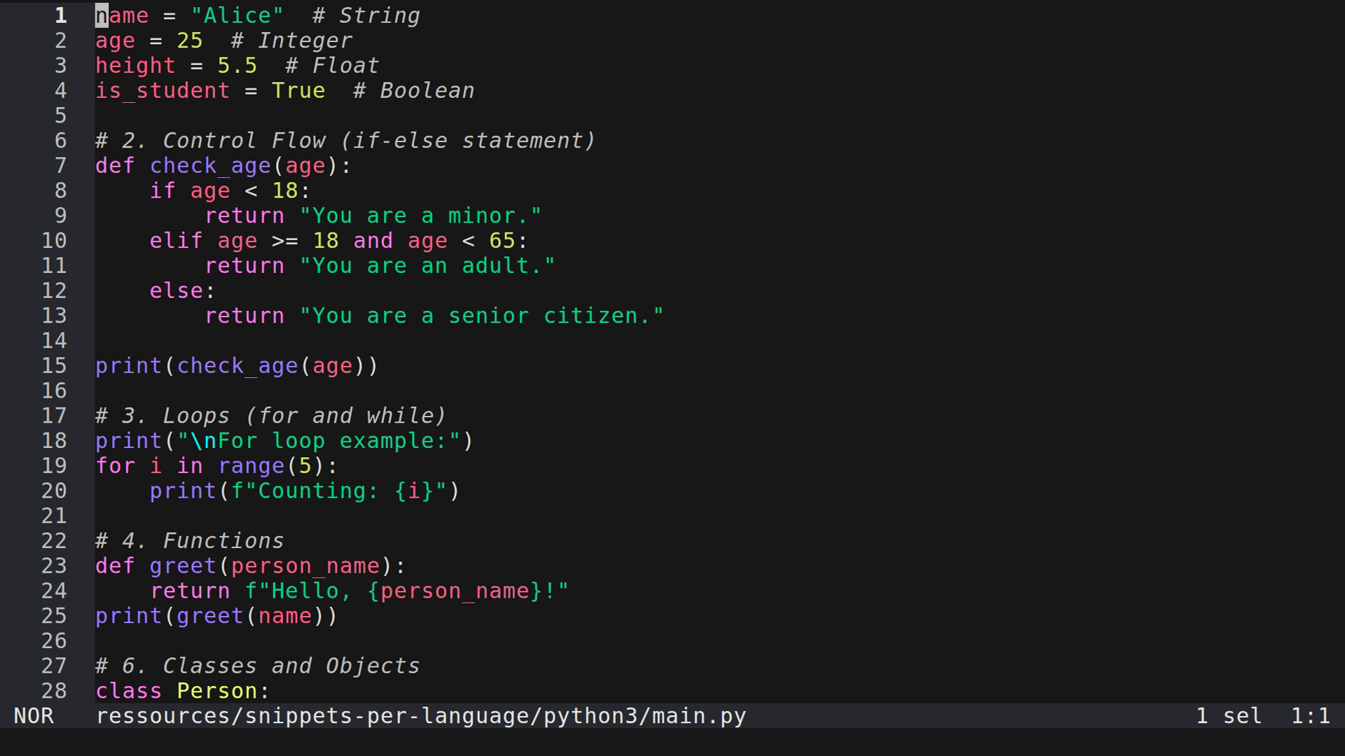 main.py 