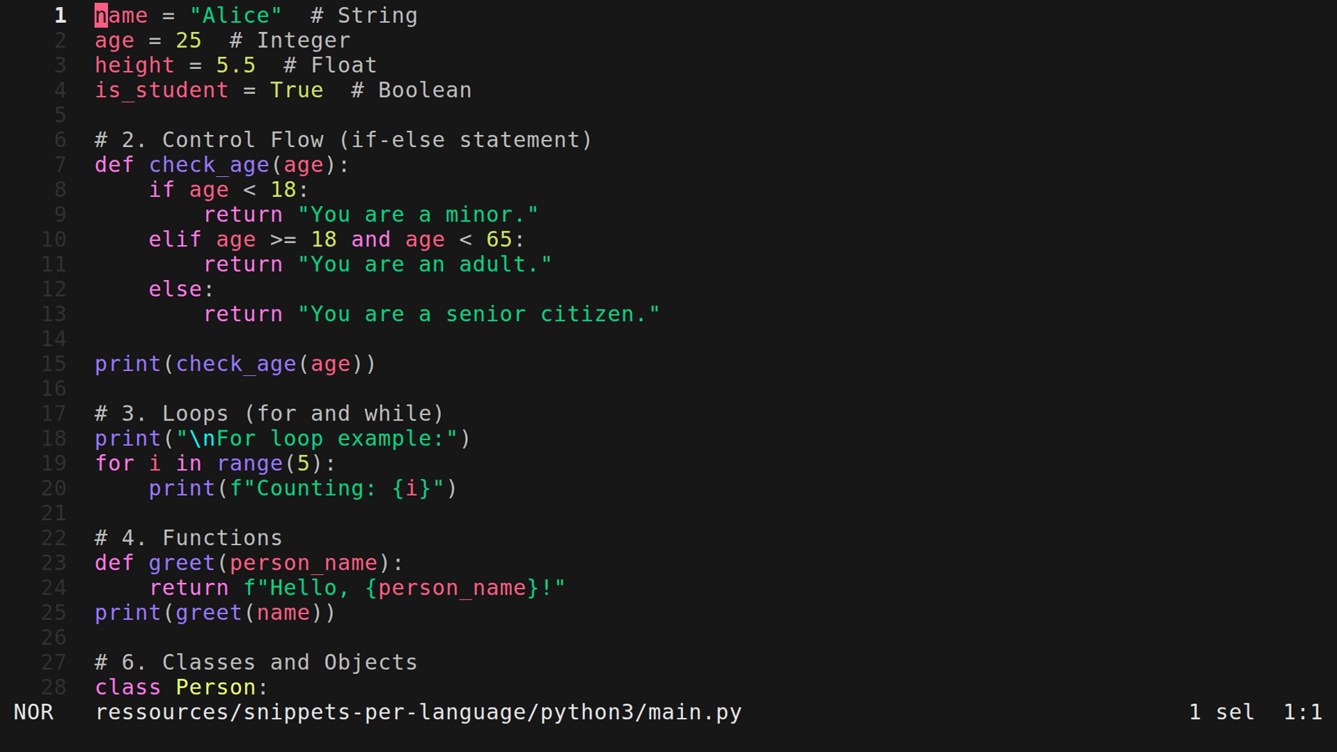 main.py 