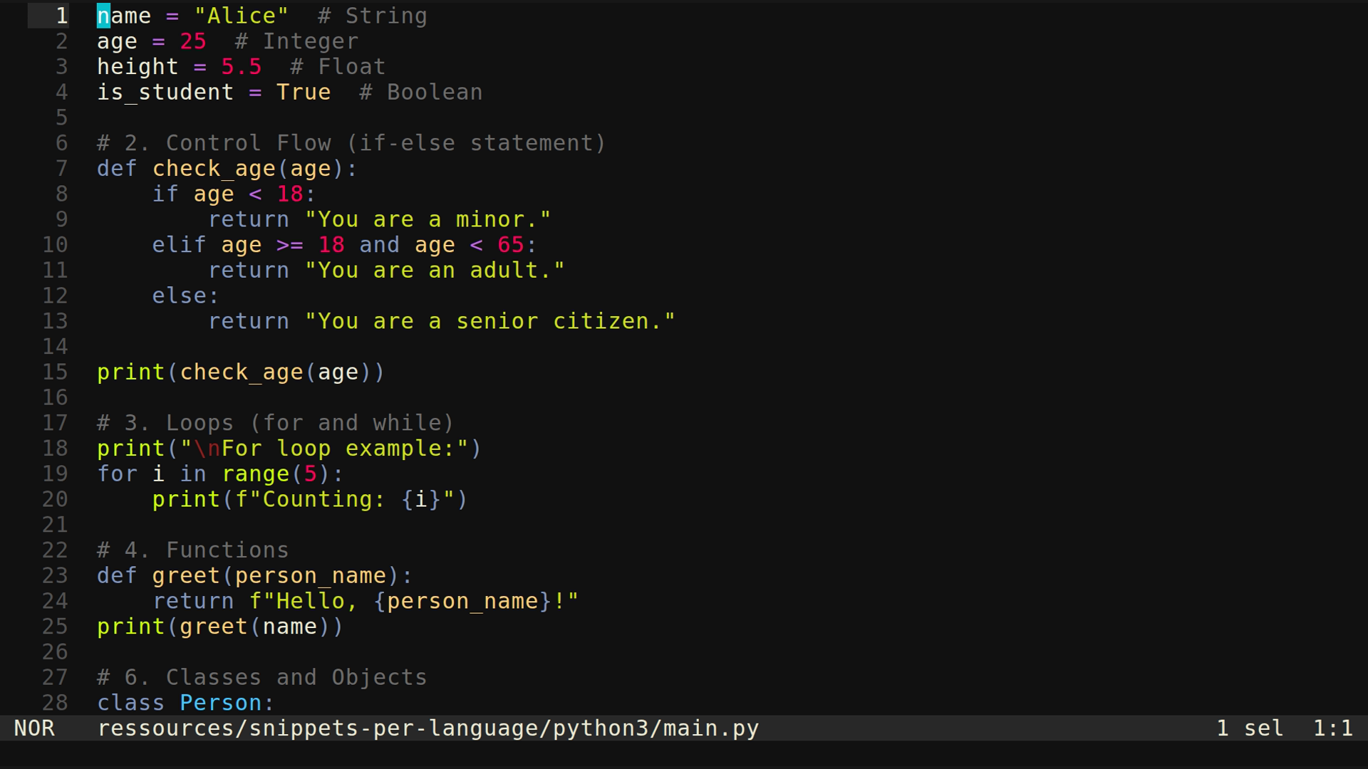 main.py 