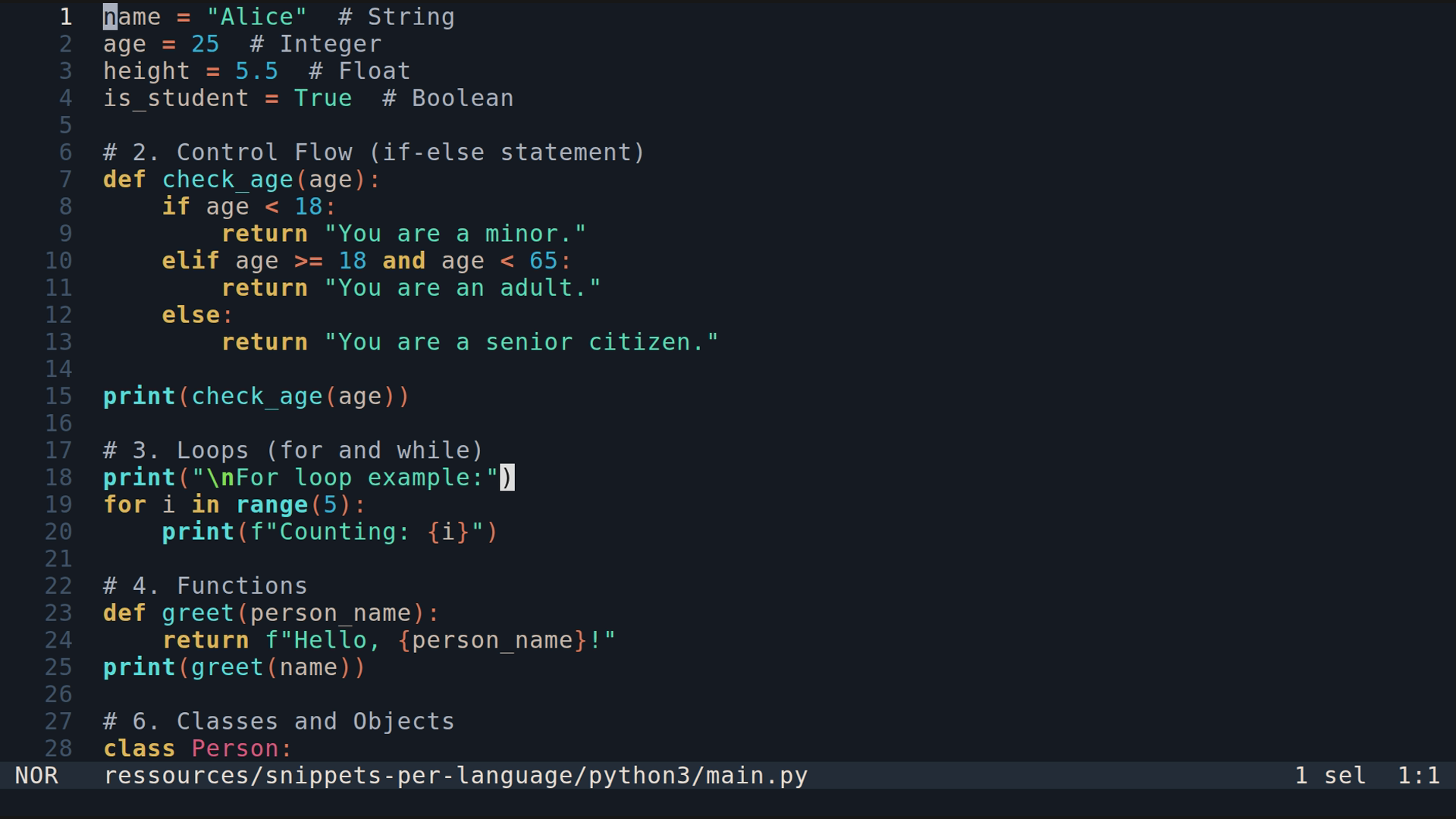 main.py 
