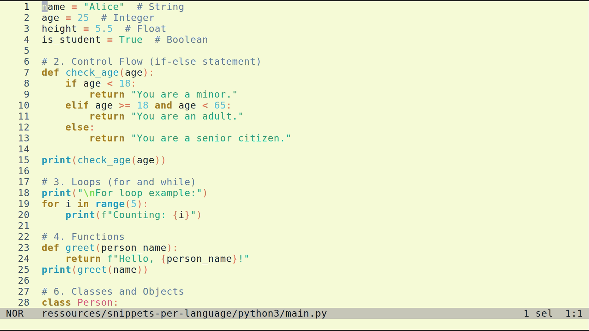 main.py 