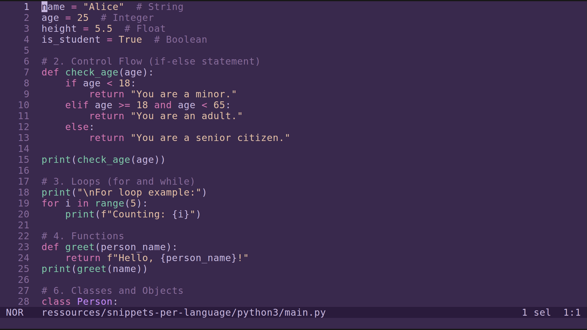 main.py 