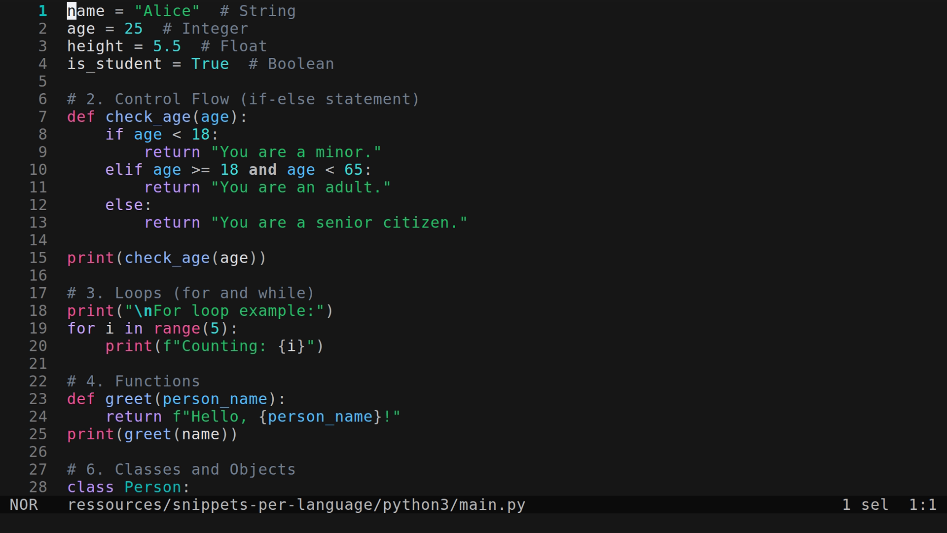main.py 