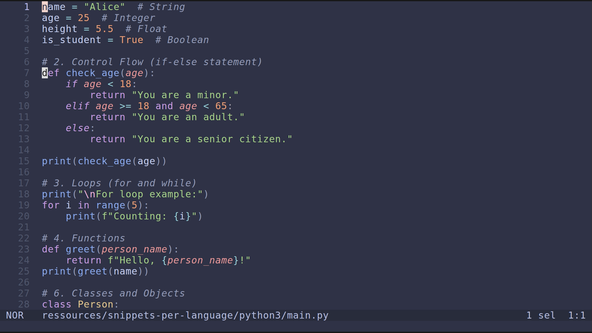 main.py 