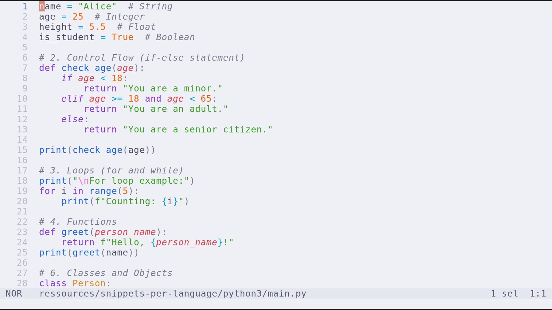 main.py 