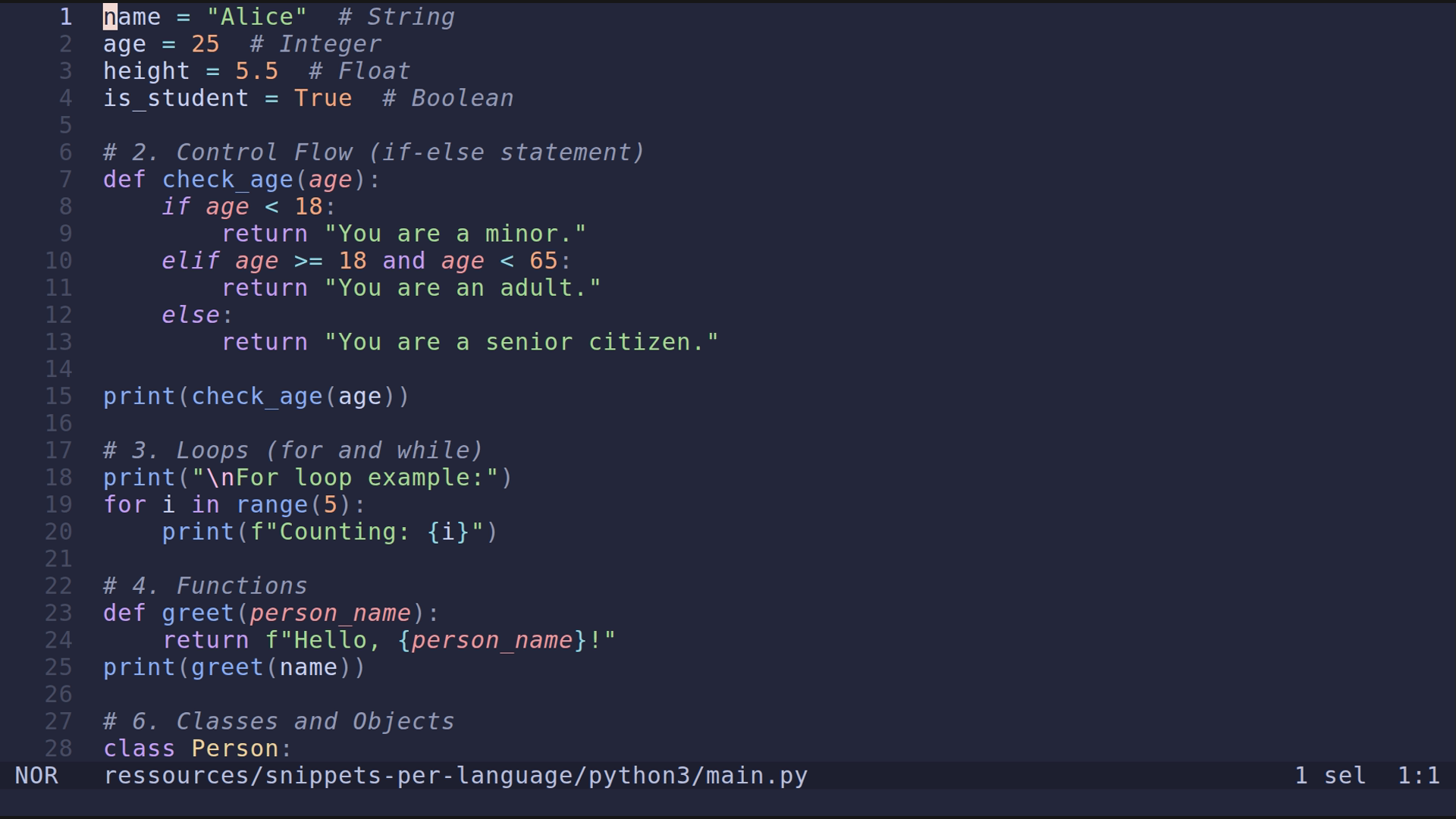 main.py 