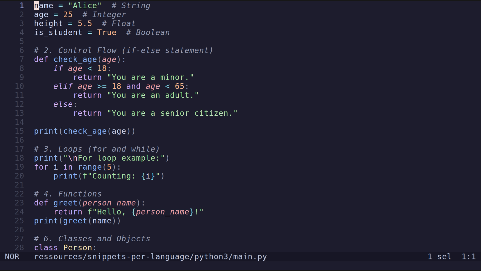 main.py 