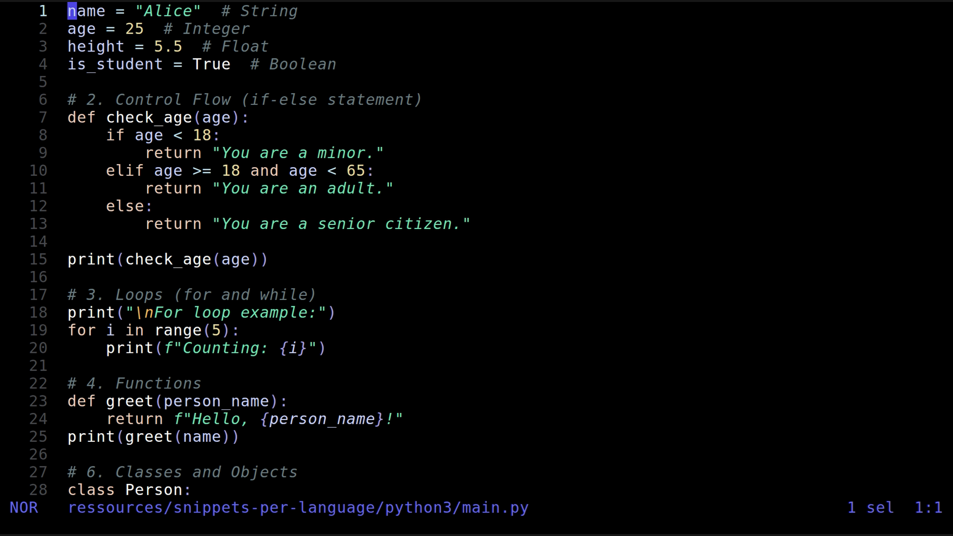 main.py 