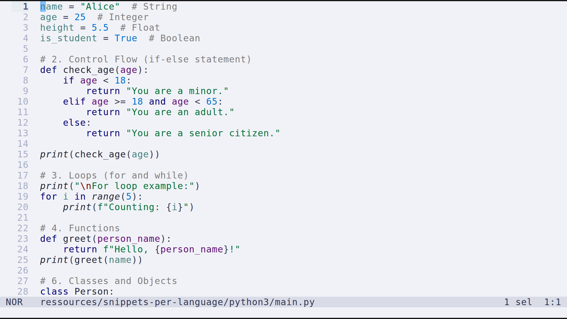 main.py 