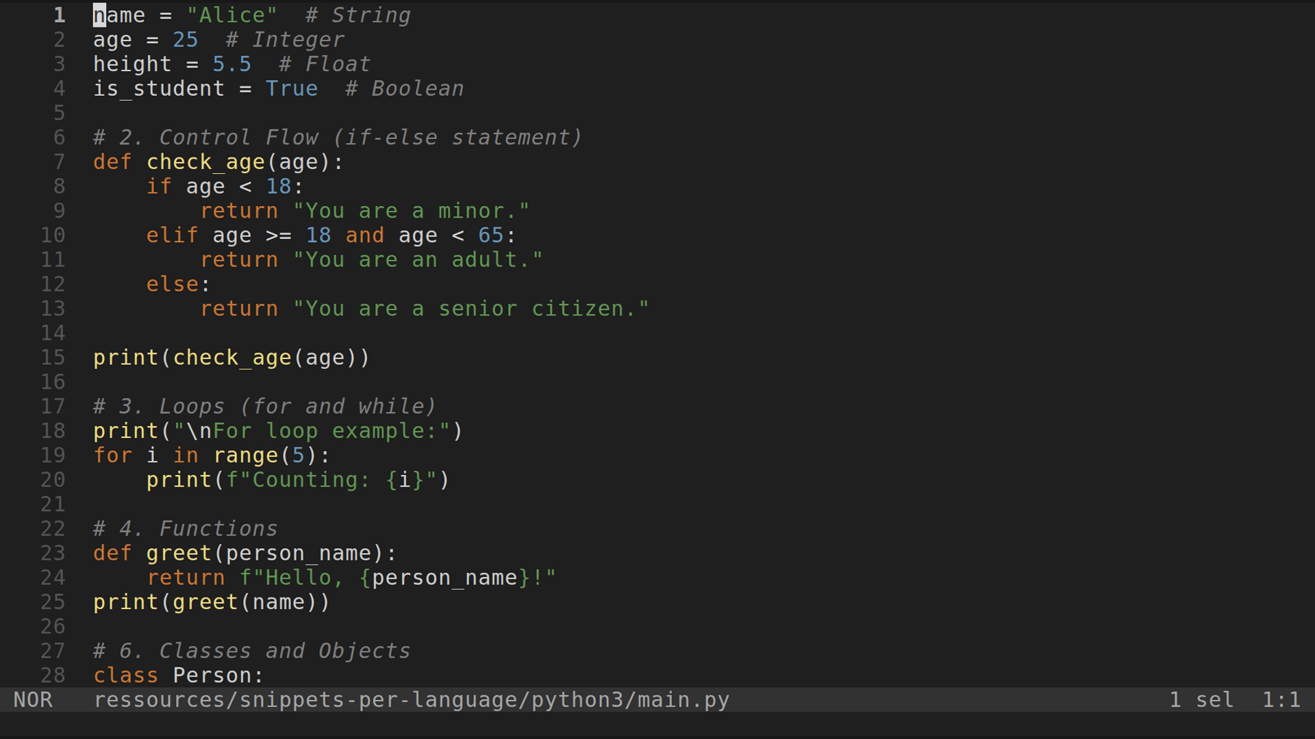 main.py 