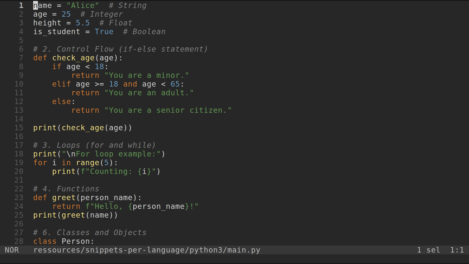 main.py 