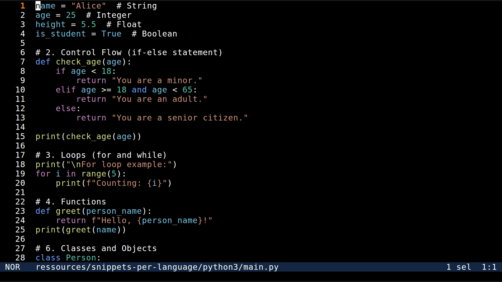 main.py 