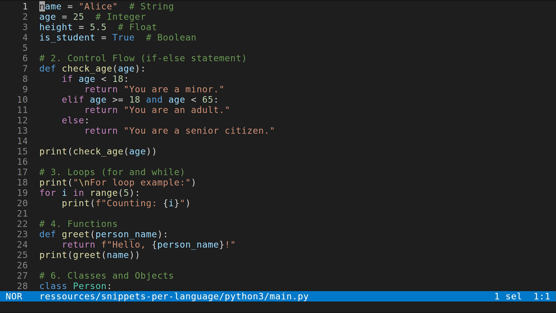 main.py 