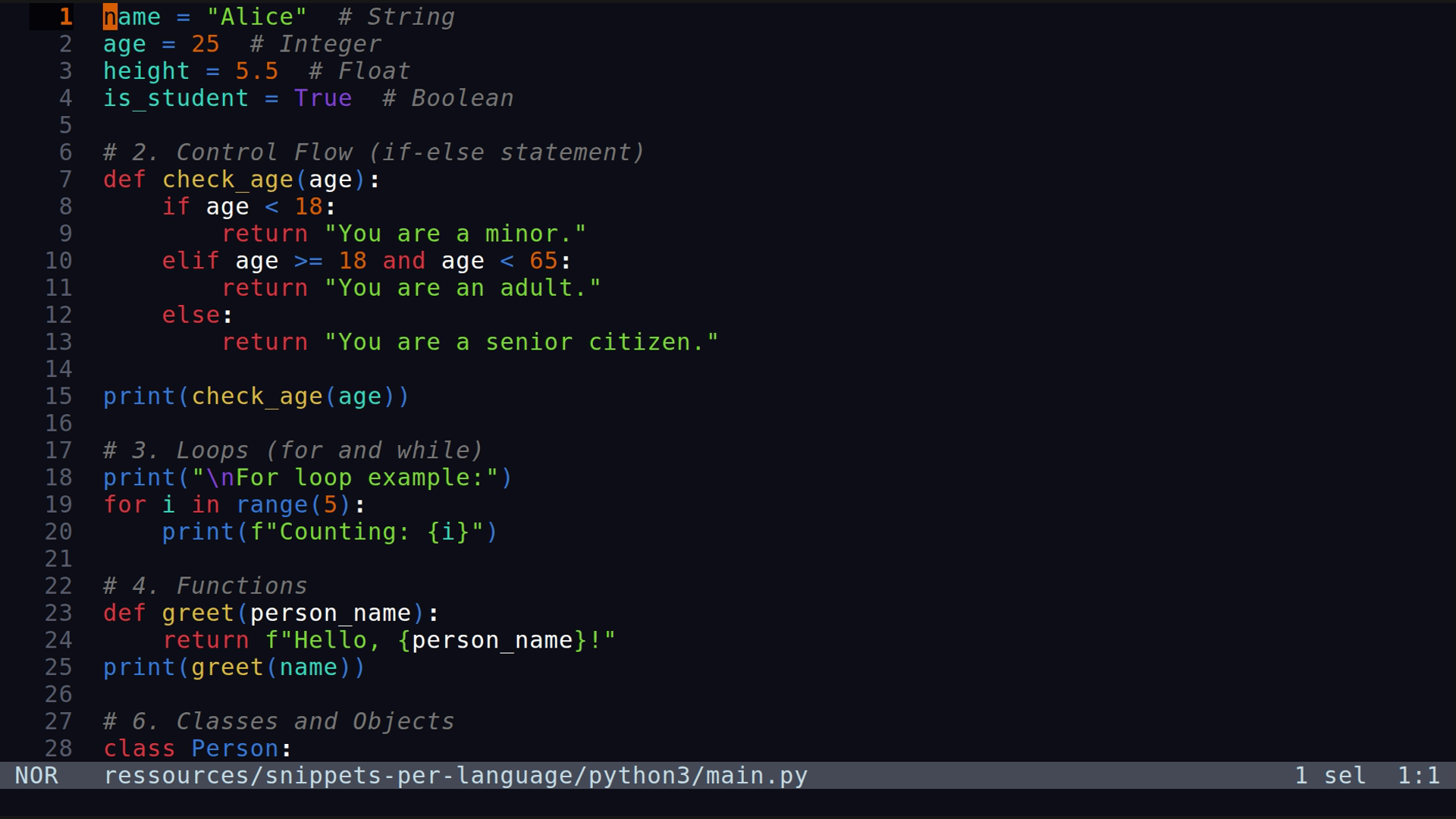 main.py 
