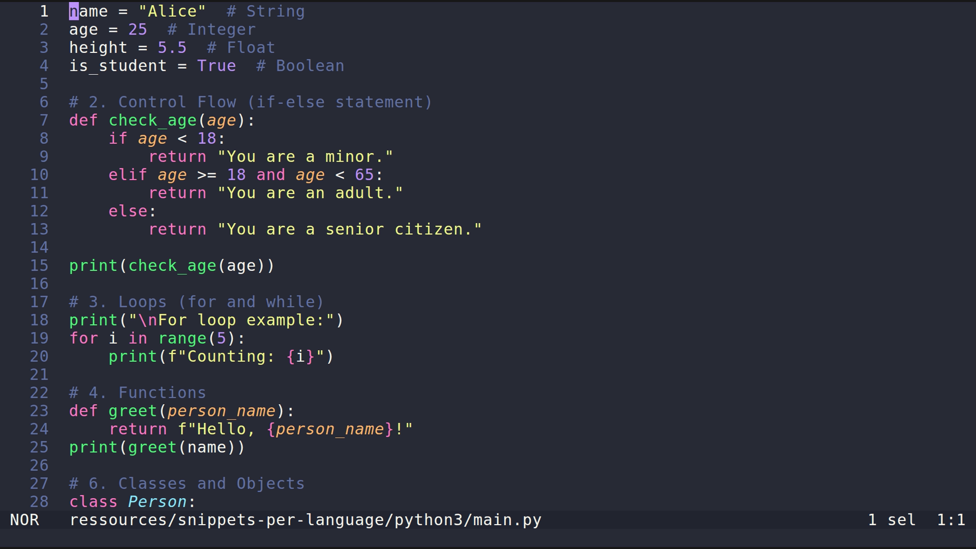 main.py 