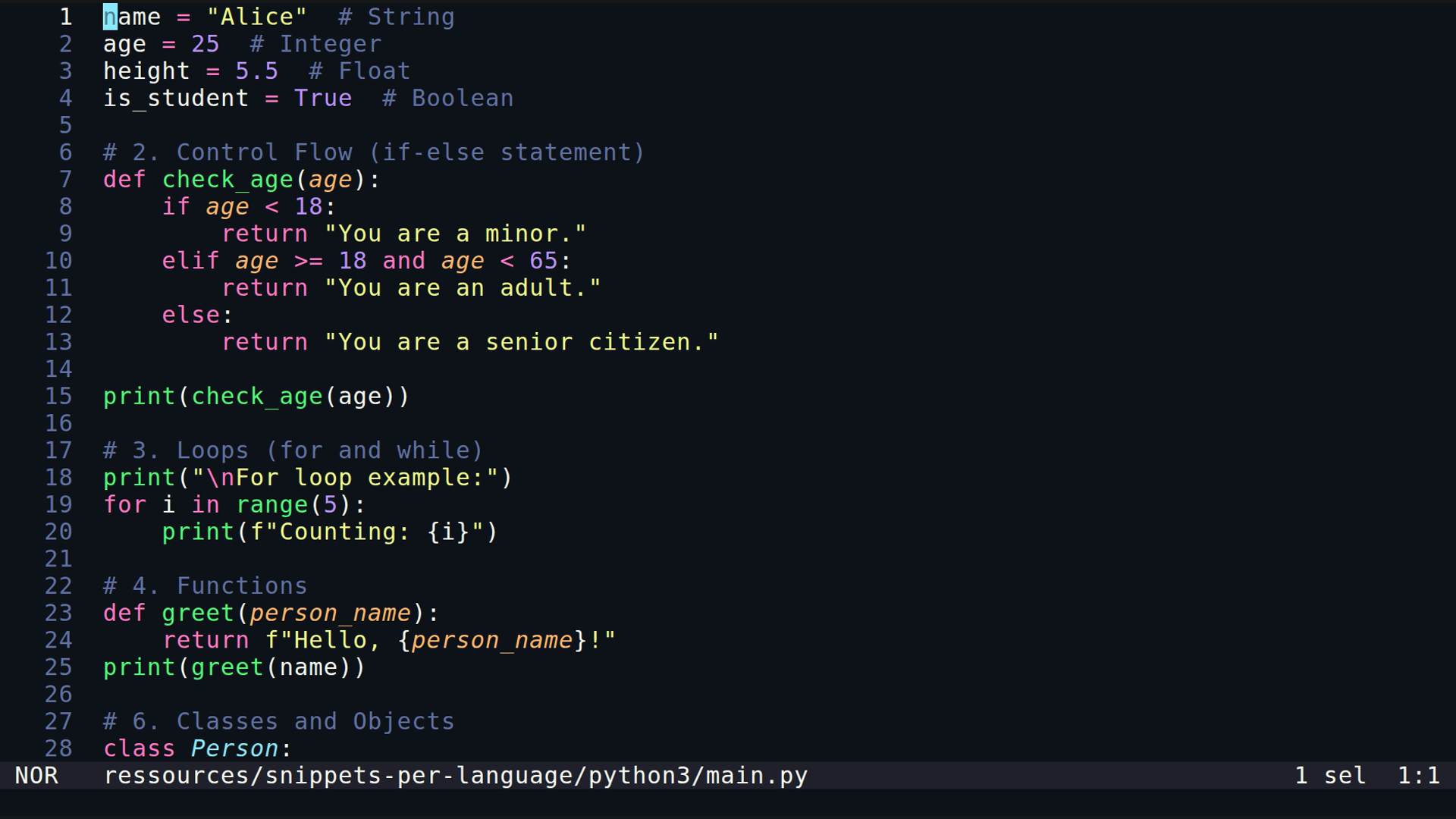 main.py 