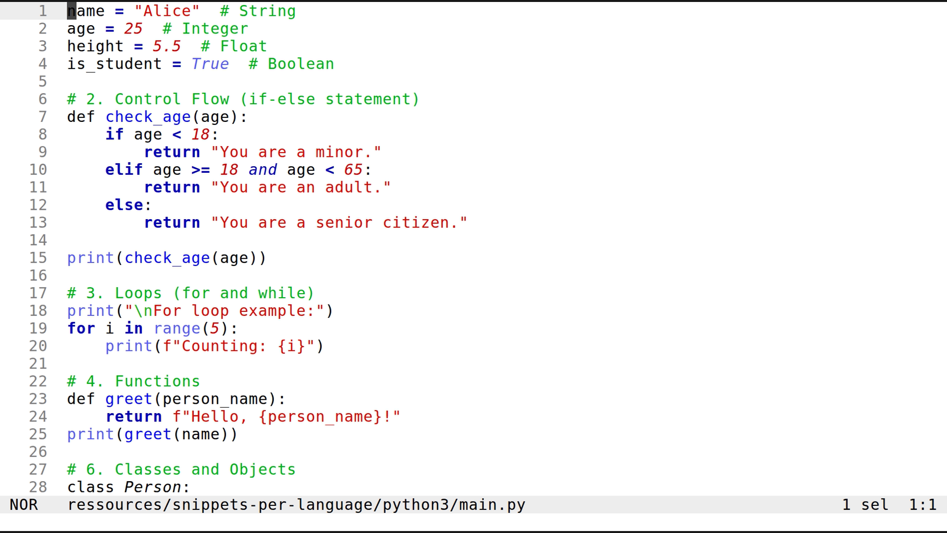 main.py 