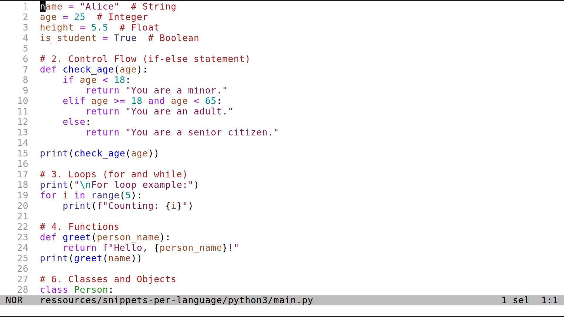 main.py 
