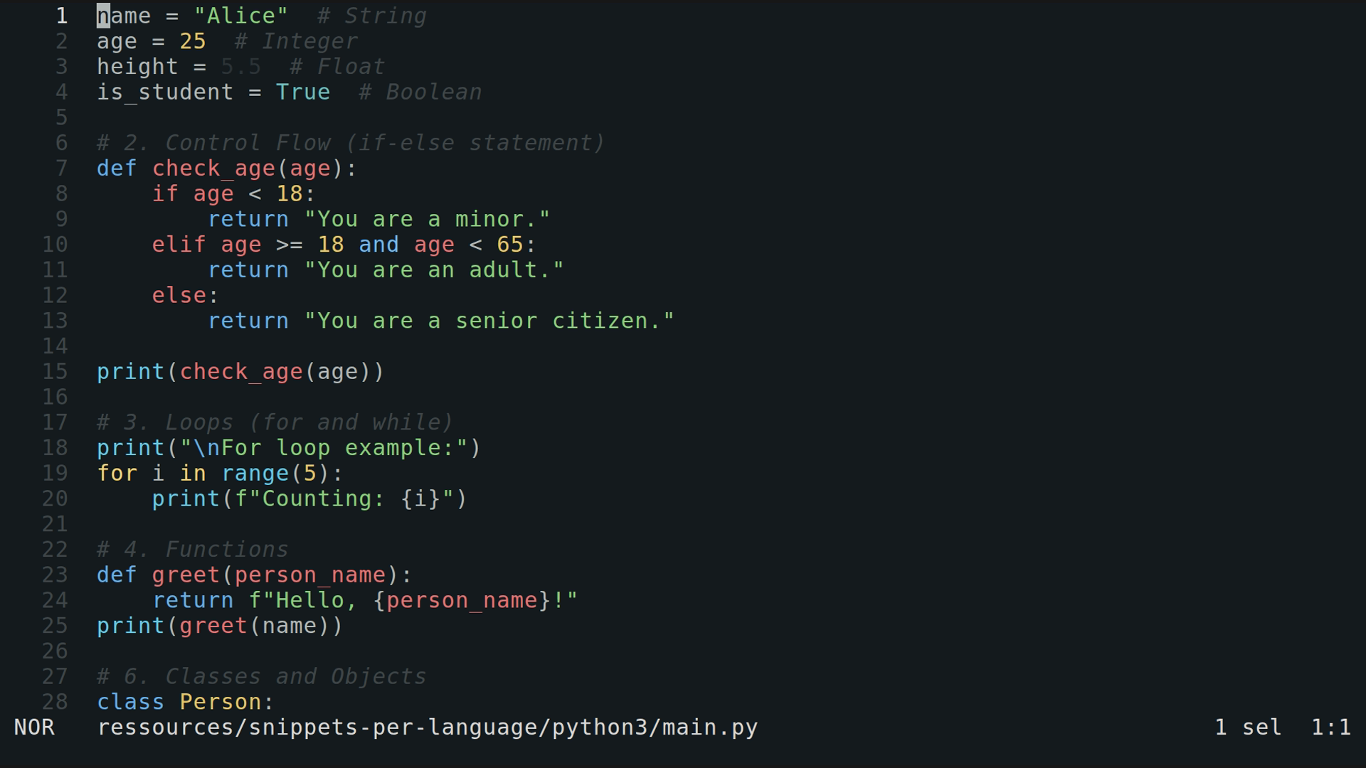 main.py 