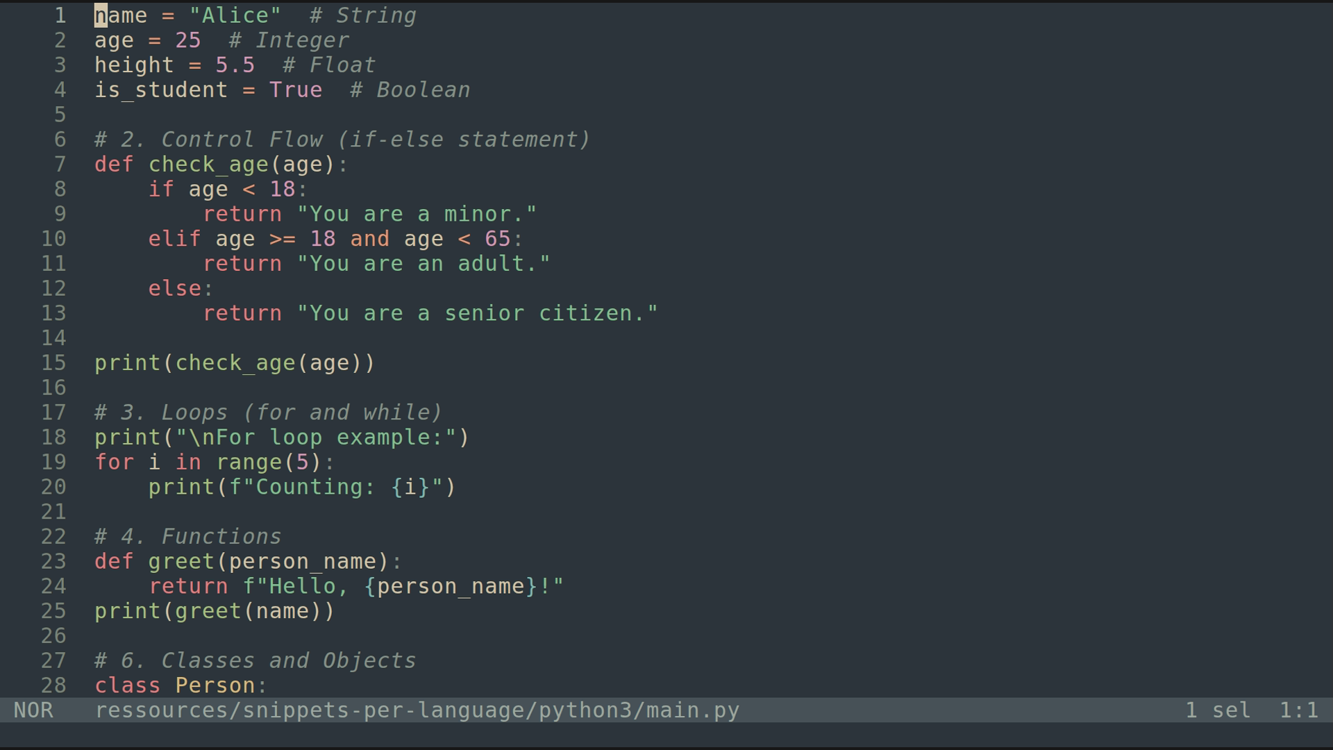 main.py 