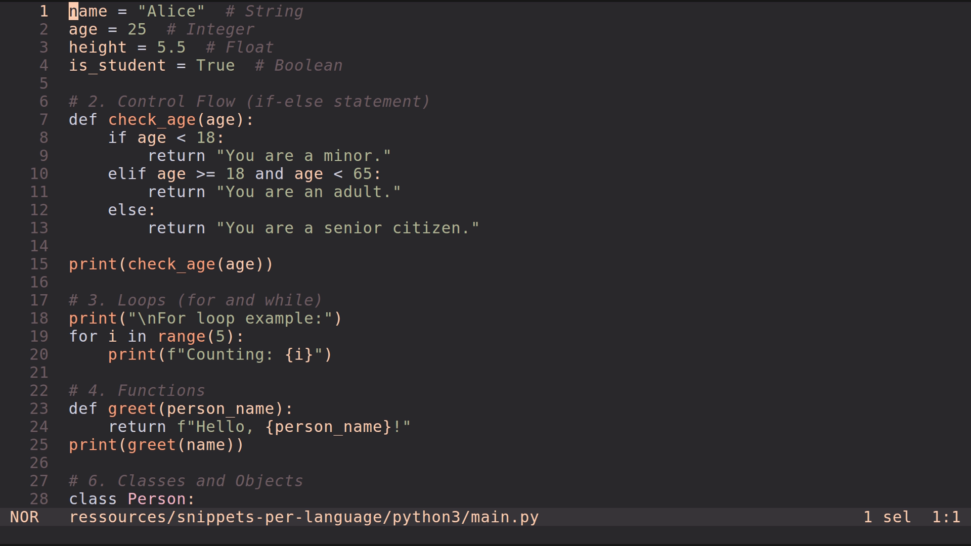 main.py 