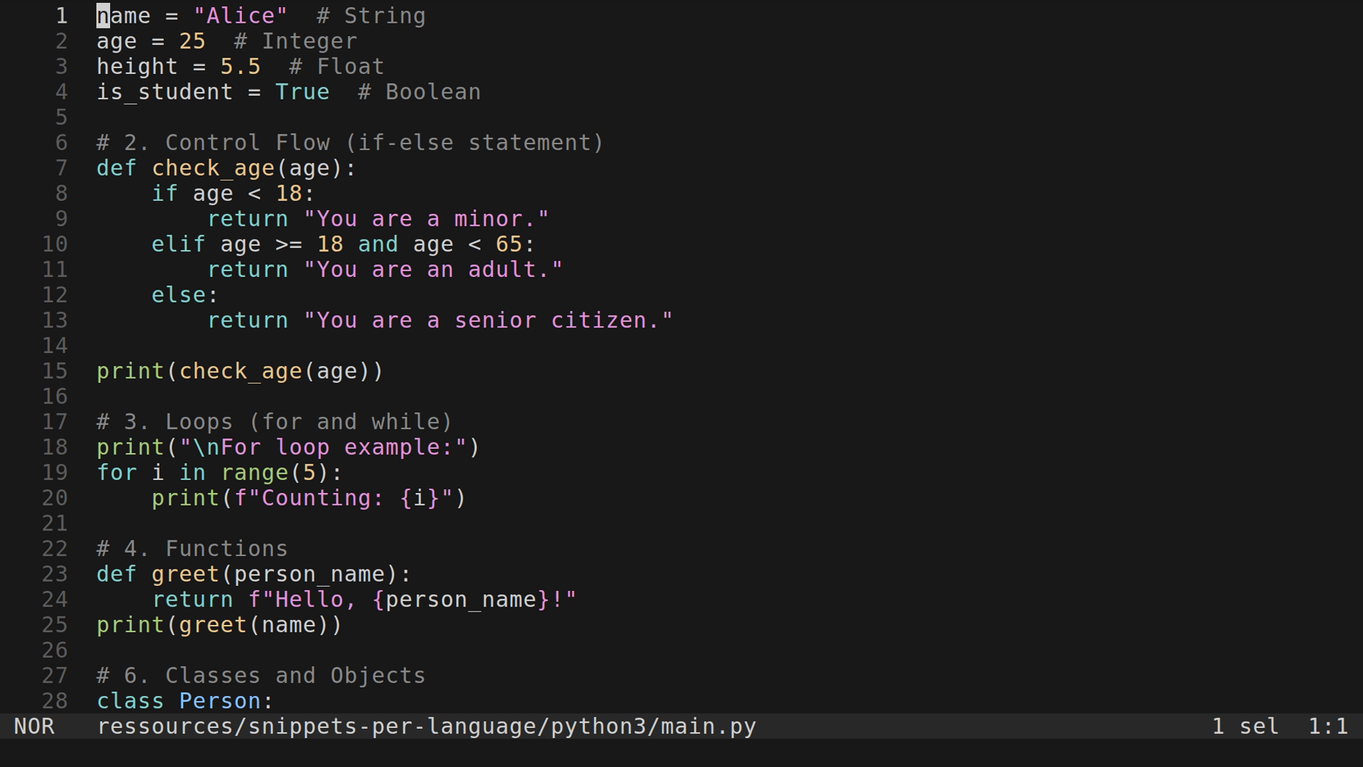 main.py 