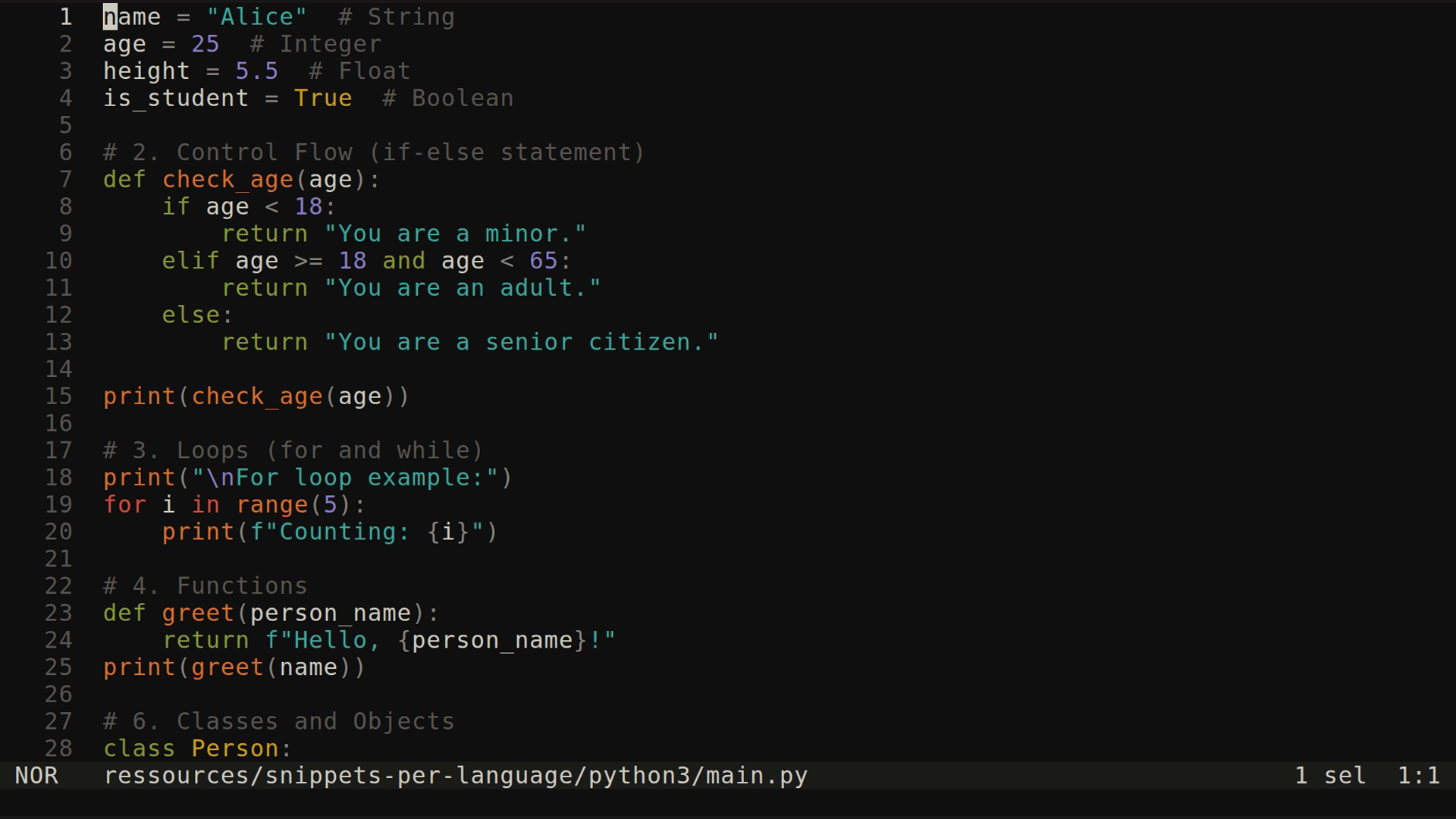 main.py 
