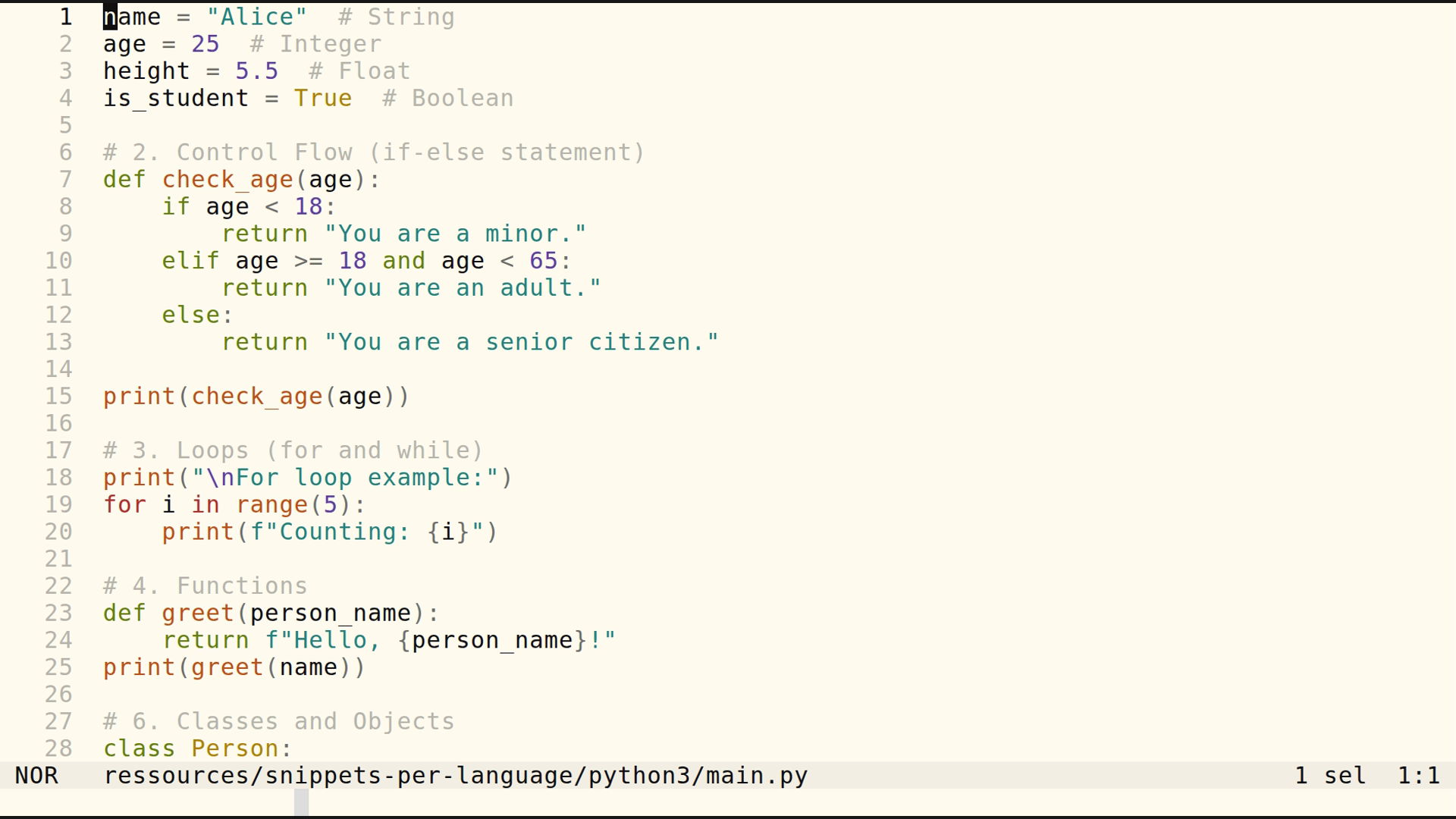main.py 