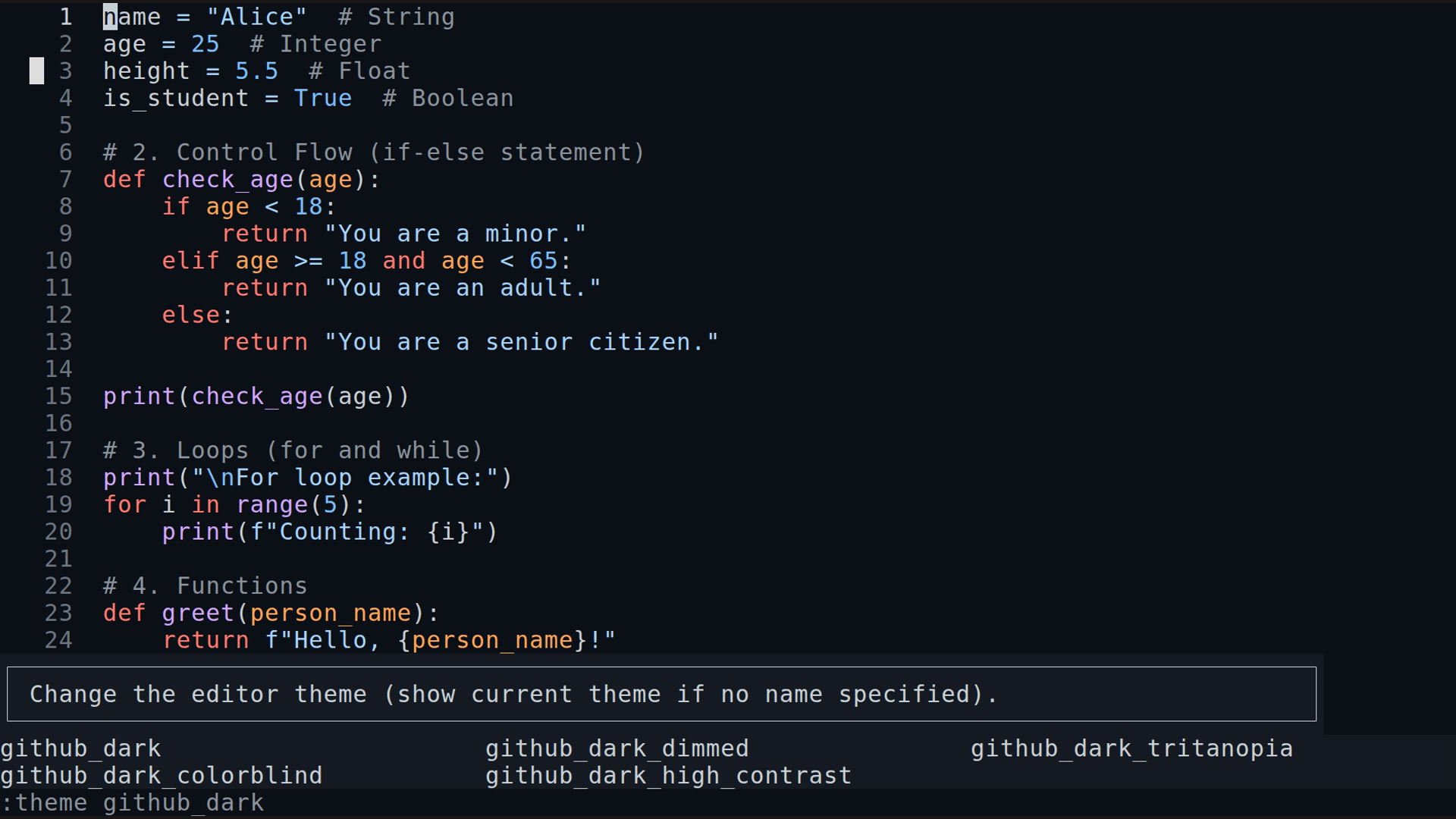 main.py 