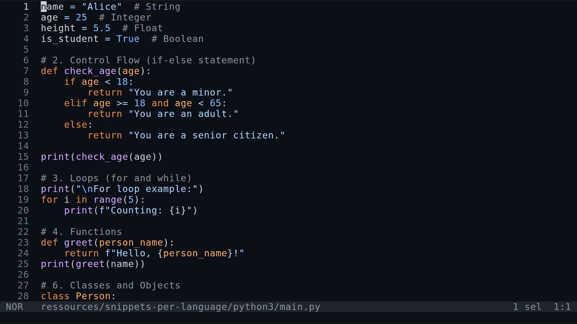 main.py 