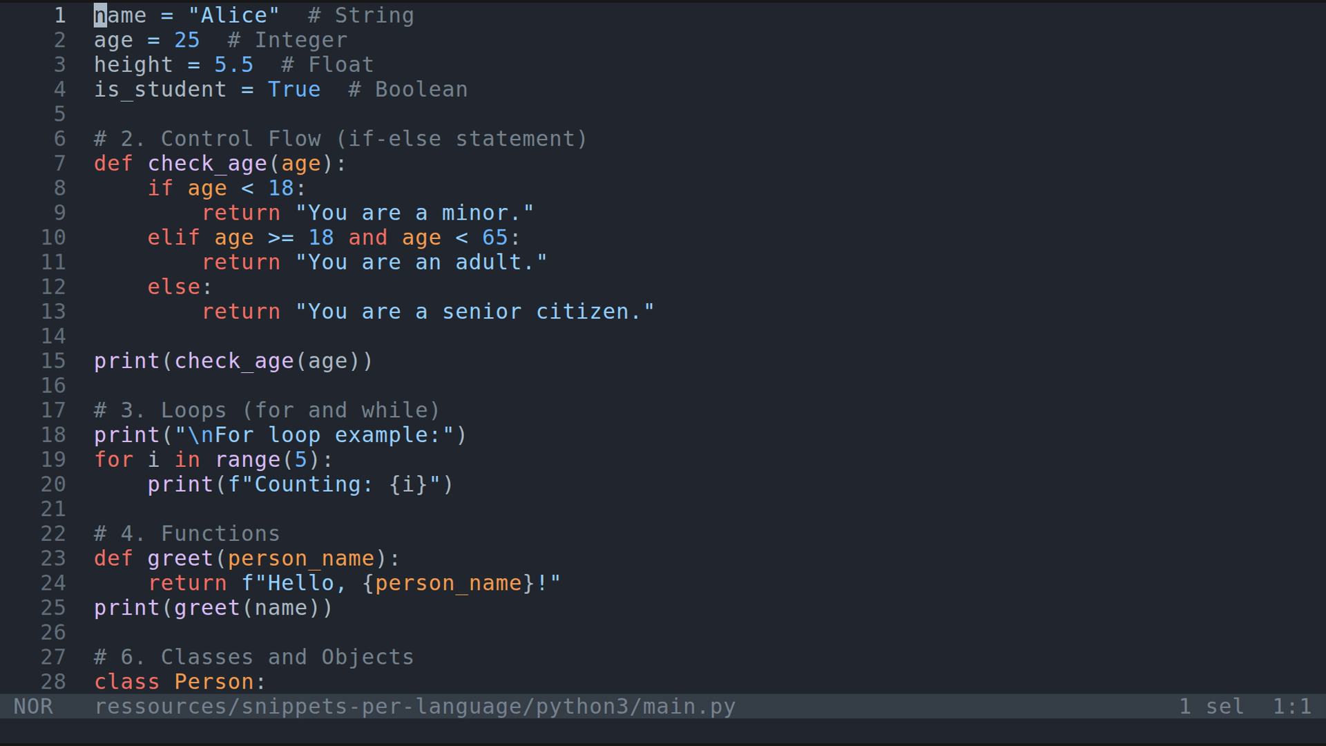 main.py 