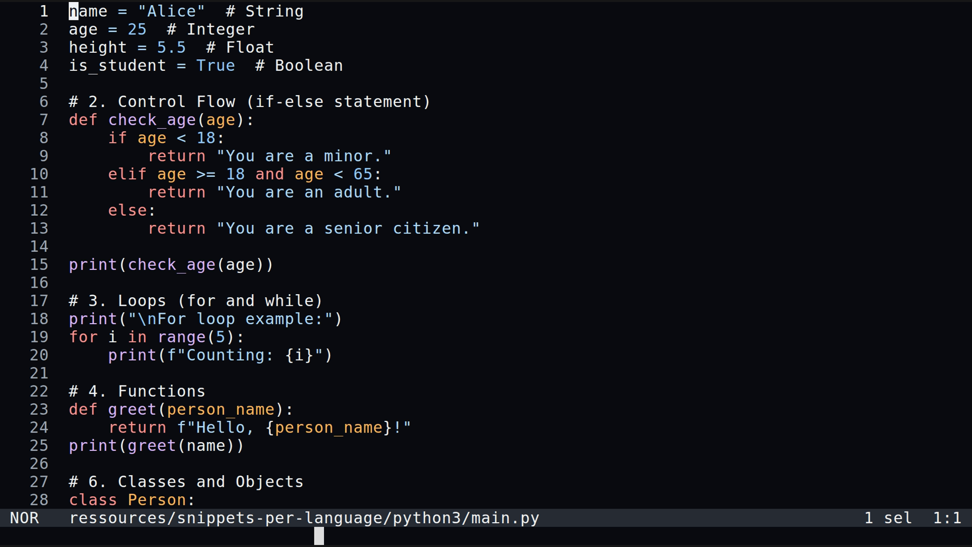 main.py 