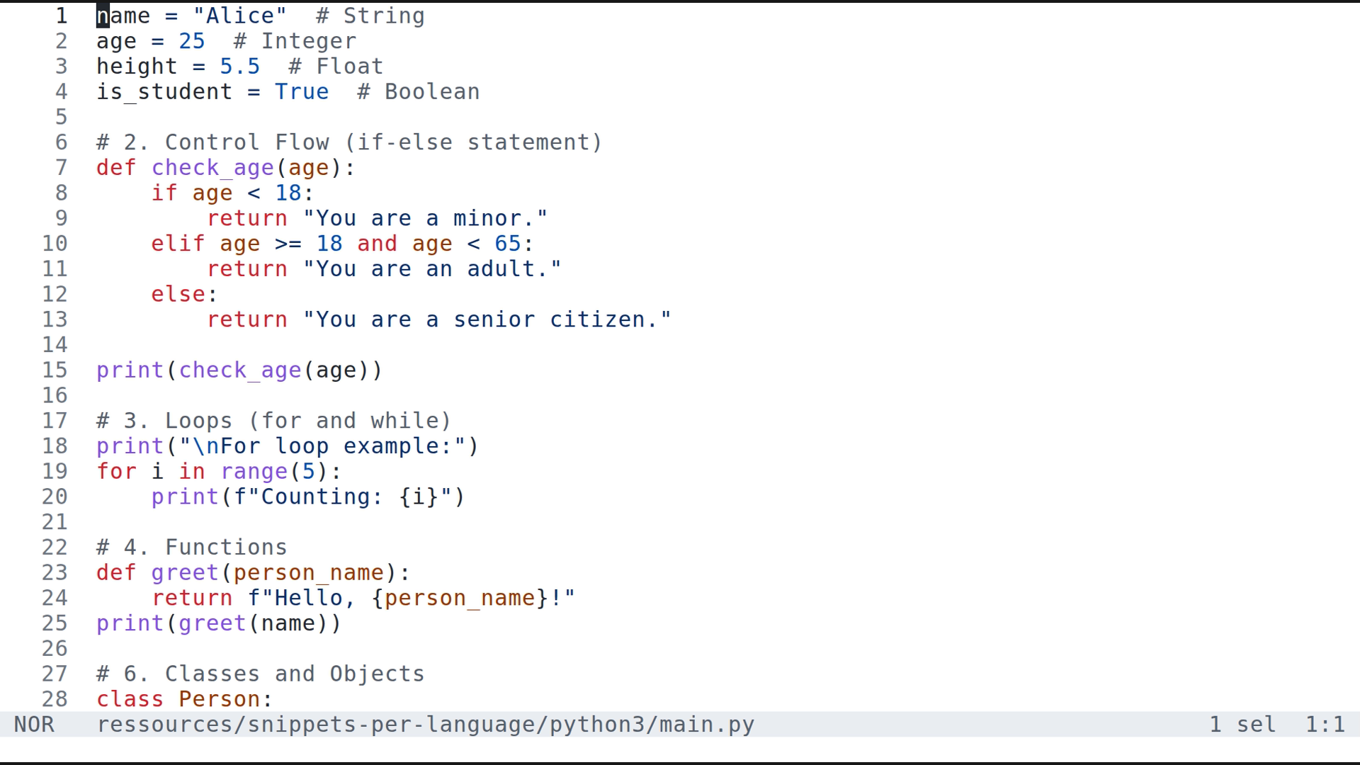 main.py 