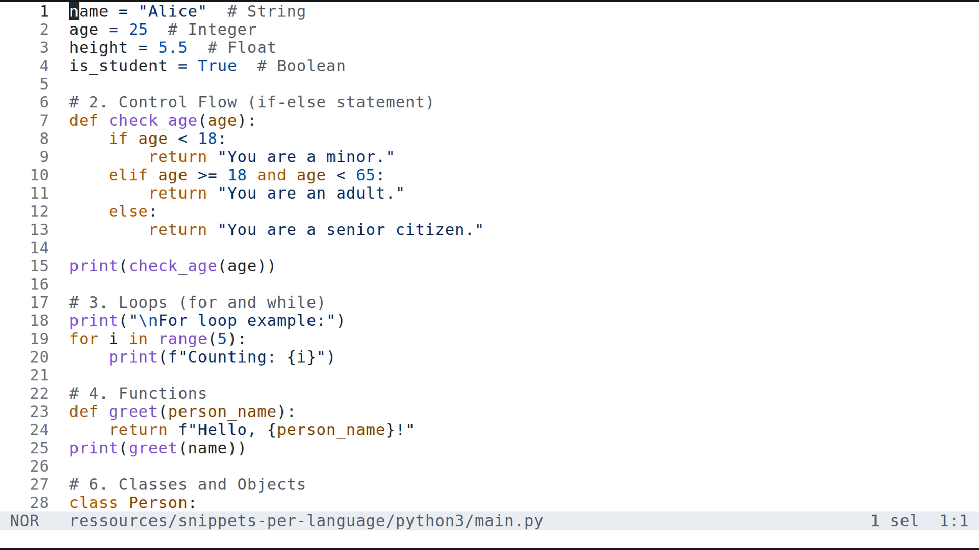 main.py 