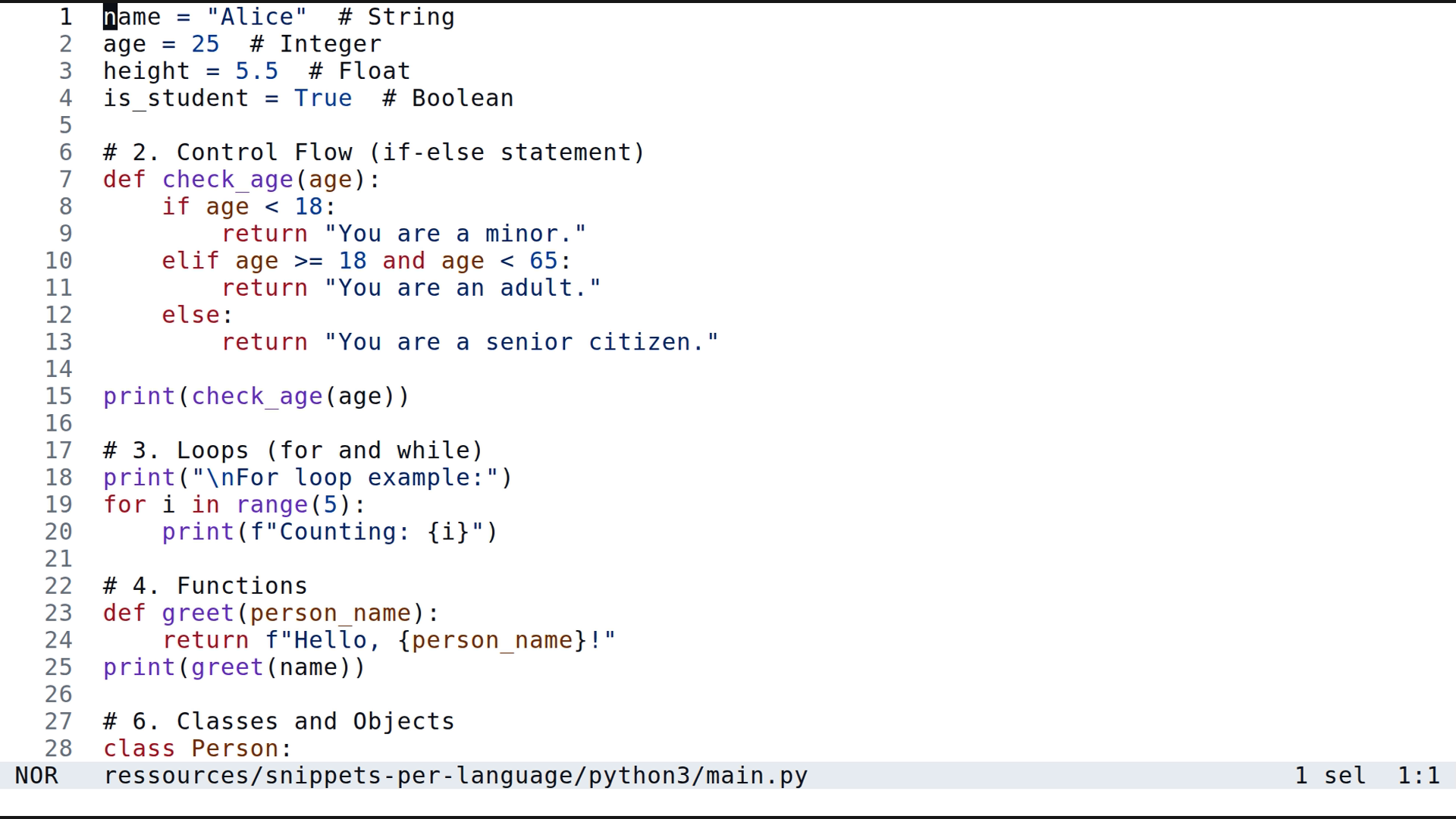 main.py 