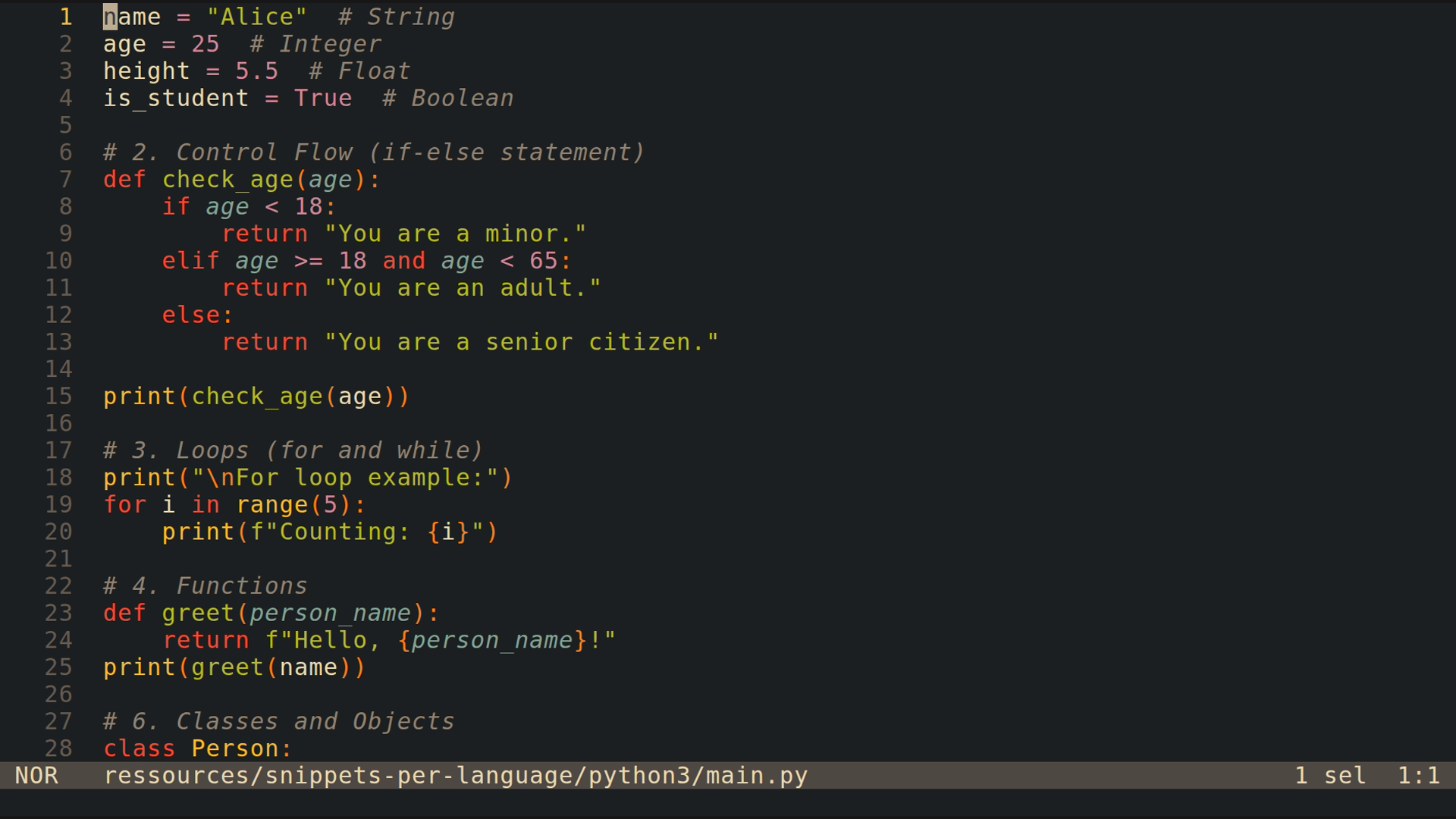 main.py 