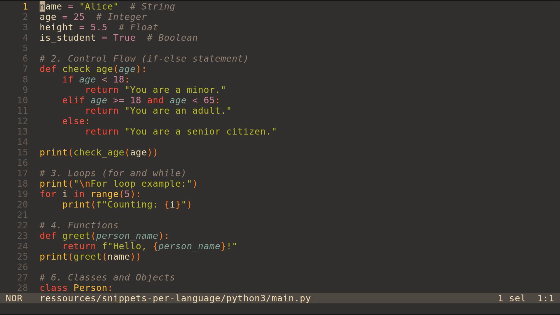 main.py 