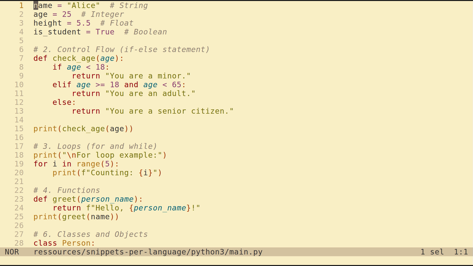 main.py 